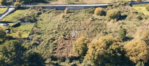 12021m² Land in Viagrande, Italy No. 326413 4