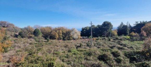 12021m² Land in Viagrande, Italy No. 326413 24