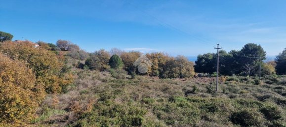 12021m² Land in Viagrande, Italy No. 326413 22