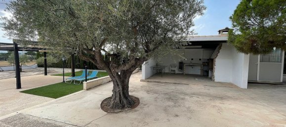 4 bedrooms House in Yecla, Spain No. 94854 4