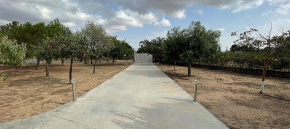 4 bedrooms House in Yecla, Spain No. 94854 24