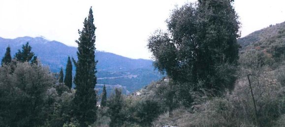 فندق في Lefkada, Greece 6179متر مربع رقم 4242 8