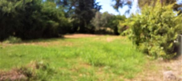 Hotel in Lefkada, Greece 780m², Nr. 4415 5