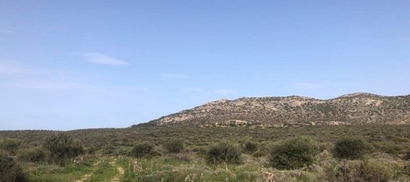 Земельный участок 10967м² в Лимин-Маркопулу, Маркопулон, Восточная Аттика, Аттика, Греция № 420 6