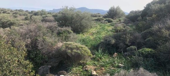 Земельный участок 10967м² в Лимин-Маркопулу, Маркопулон, Восточная Аттика, Аттика, Греция № 420 4
