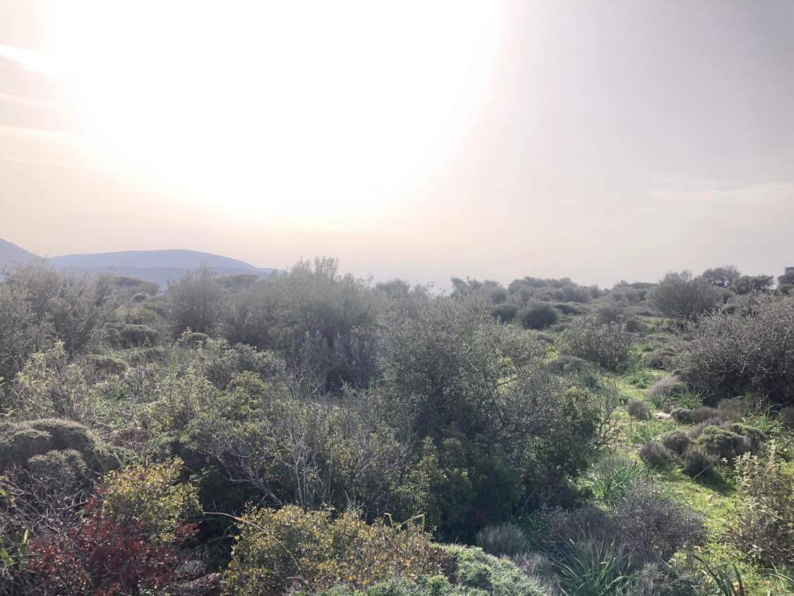 10967m² Land in Porto Rafti, Greece No. 420