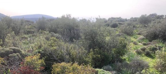 10967m² Hotel in Porto Rafti, Greece No. 420 3