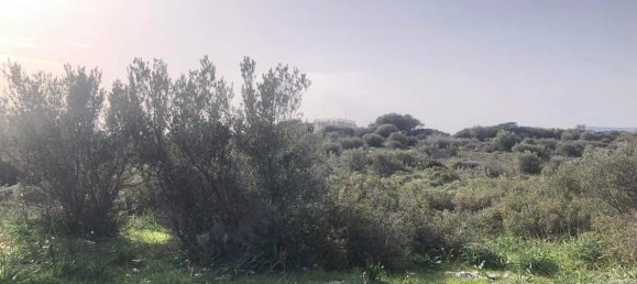 10967m² Hotel in Porto Rafti, Greece No. 420 2