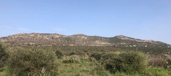 10967m² Hotel in Porto Rafti, Greece No. 420 10