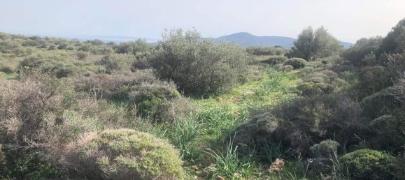 10967m² Hotel in Porto Rafti, Greece No. 420 5