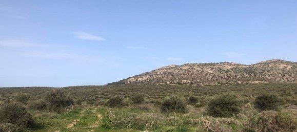 Земельный участок 10967м² в Лимин-Маркопулу, Маркопулон, Восточная Аттика, Аттика, Греция № 420 11