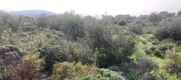 10967m² Hotel in Porto Rafti, Greece No. 420 13