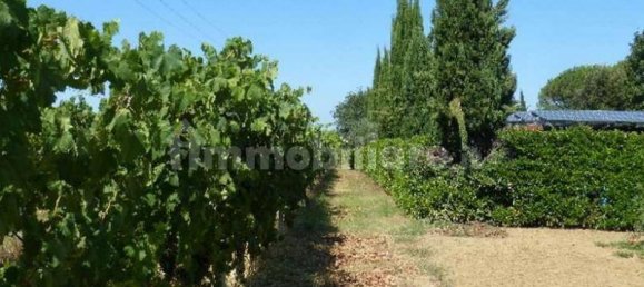 5-salle Maison à Cesena, Italy No. 363004 5