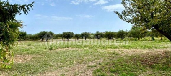 3 bedrooms Villa in Ortona, Italy No. 316501 16