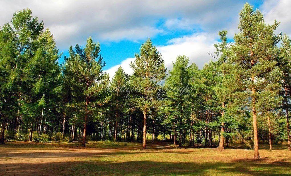 6330m² Commercial property in Bodrum, Turkey No. 28791