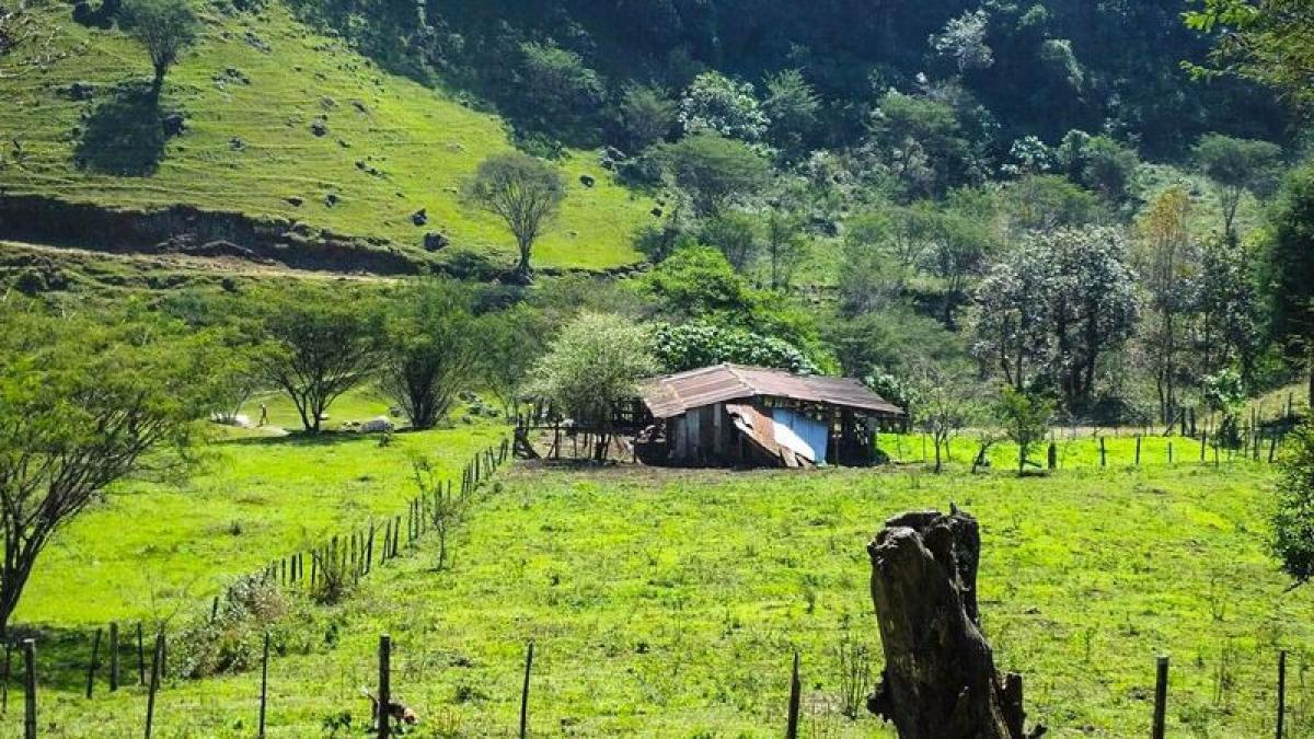 Terrain à Veracruz, Mexico No. 202633