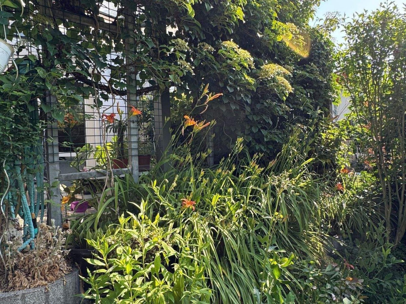 3-salle Maison de ville à Barnim, Germany No. 238330