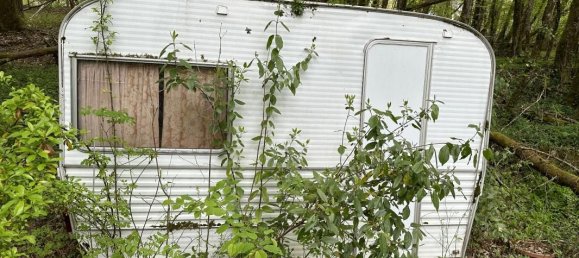 Terrain à Brive-la-Gaillarde, France 14696m² No. 97260 9