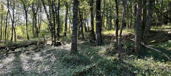 Terrain à Brive-la-Gaillarde, France 14696m² No. 97260 4