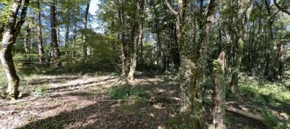 Terrain à Brive-la-Gaillarde, France 14696m² No. 97260 6