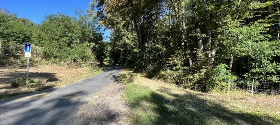 Terrain à Brive-la-Gaillarde, France 14696m² No. 97260 7