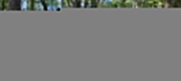 Terrain à Brive-la-Gaillarde, France 14696m² No. 97260 2