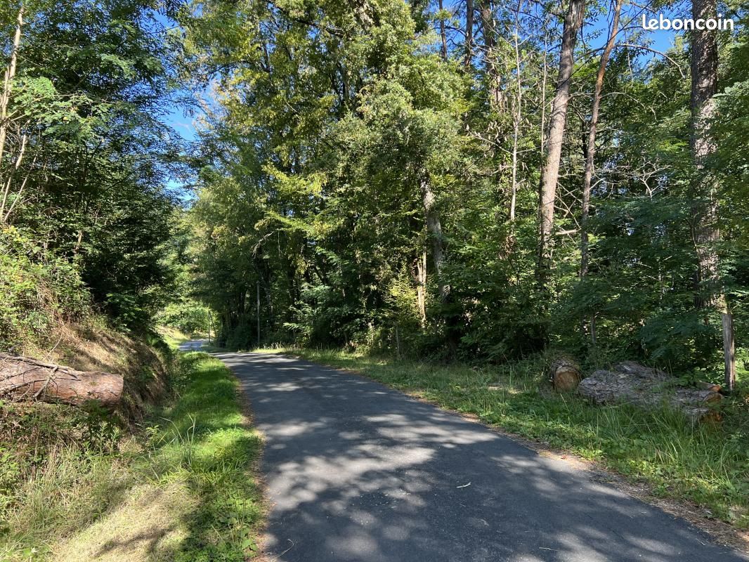 Terrain à Brive-la-Gaillarde, France 14696m² No. 97260