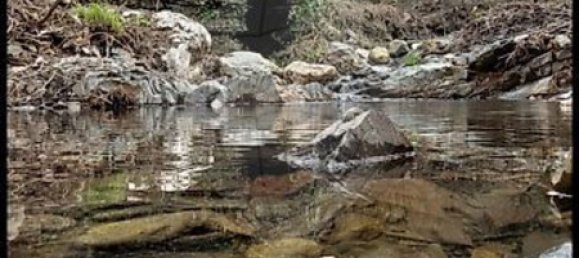 3 غرف نوم منزل في Tondela, Portugal رقم 17451 2