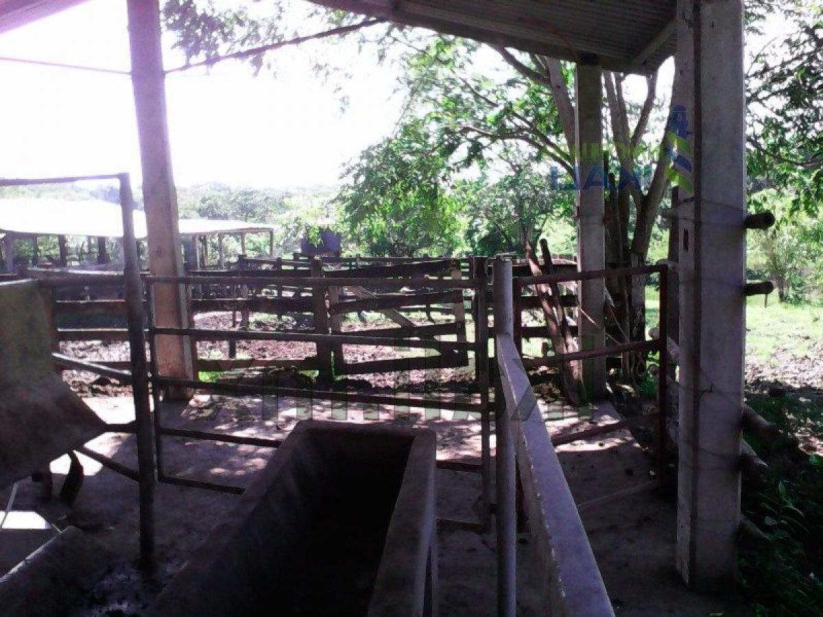 Terreno em Veracruz, Mexico N.º 206401