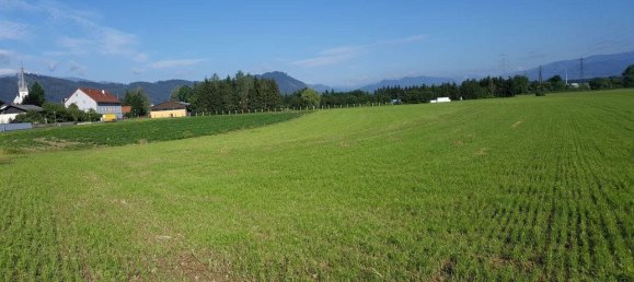 Terreno em Weisskirchen in Steiermark, Austria 1449 m² N.º 106810 9