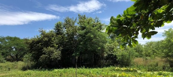 Terrain à Liberia, Costa Rica No. 1869 2