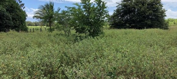 Terrain à Liberia, Costa Rica No. 1869 4