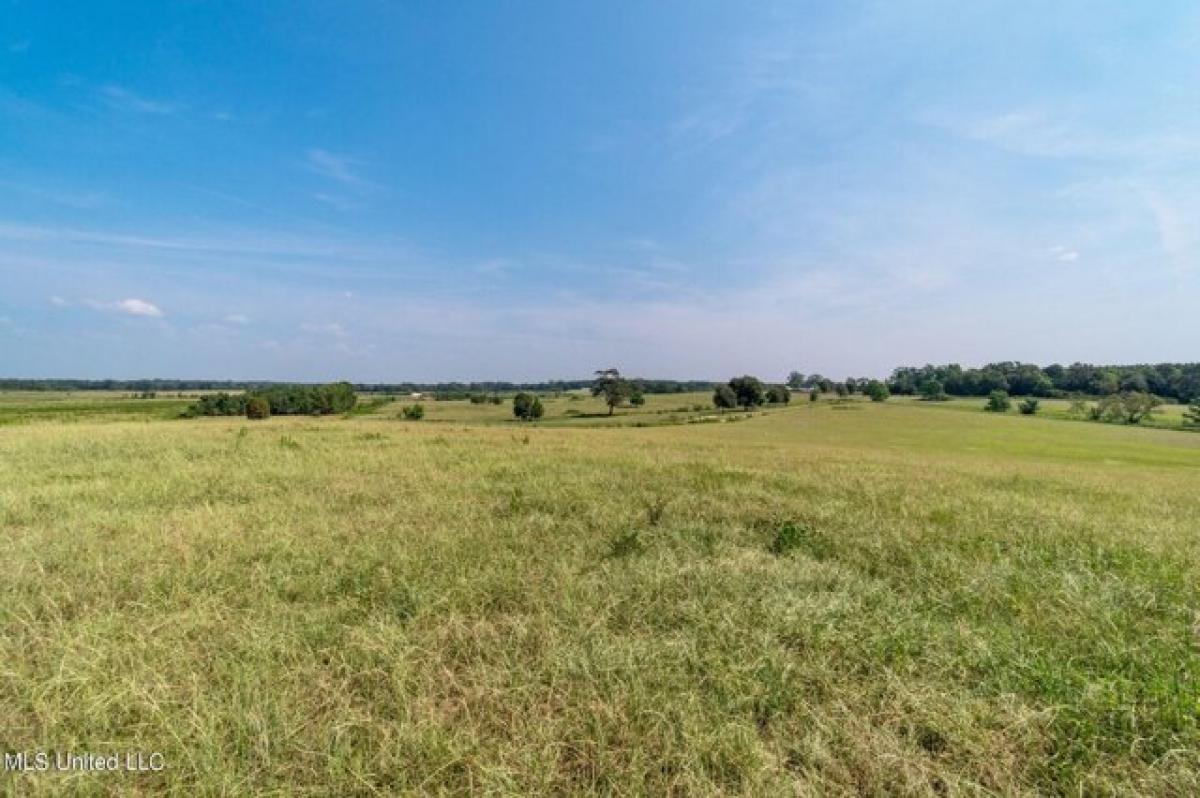 Land in Poplarville, USA No. 477884