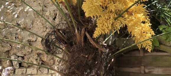 2 chambres Appartement à Deauville, France No. 355692 2