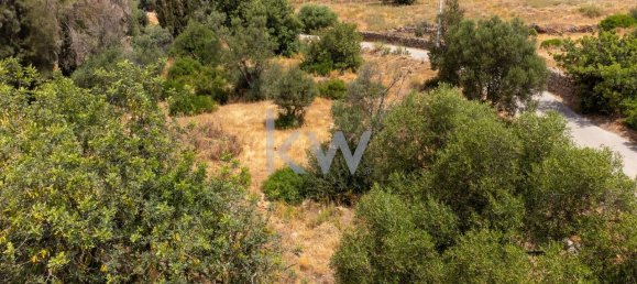 2060m² Land in Almancil, Portugal No. 37654 19