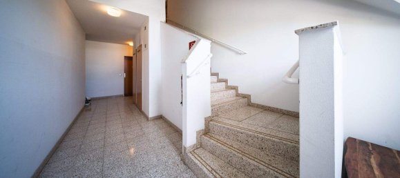 3-Zimmer Wohnung in Traiskirchen, Austria, Nr. 157114 22