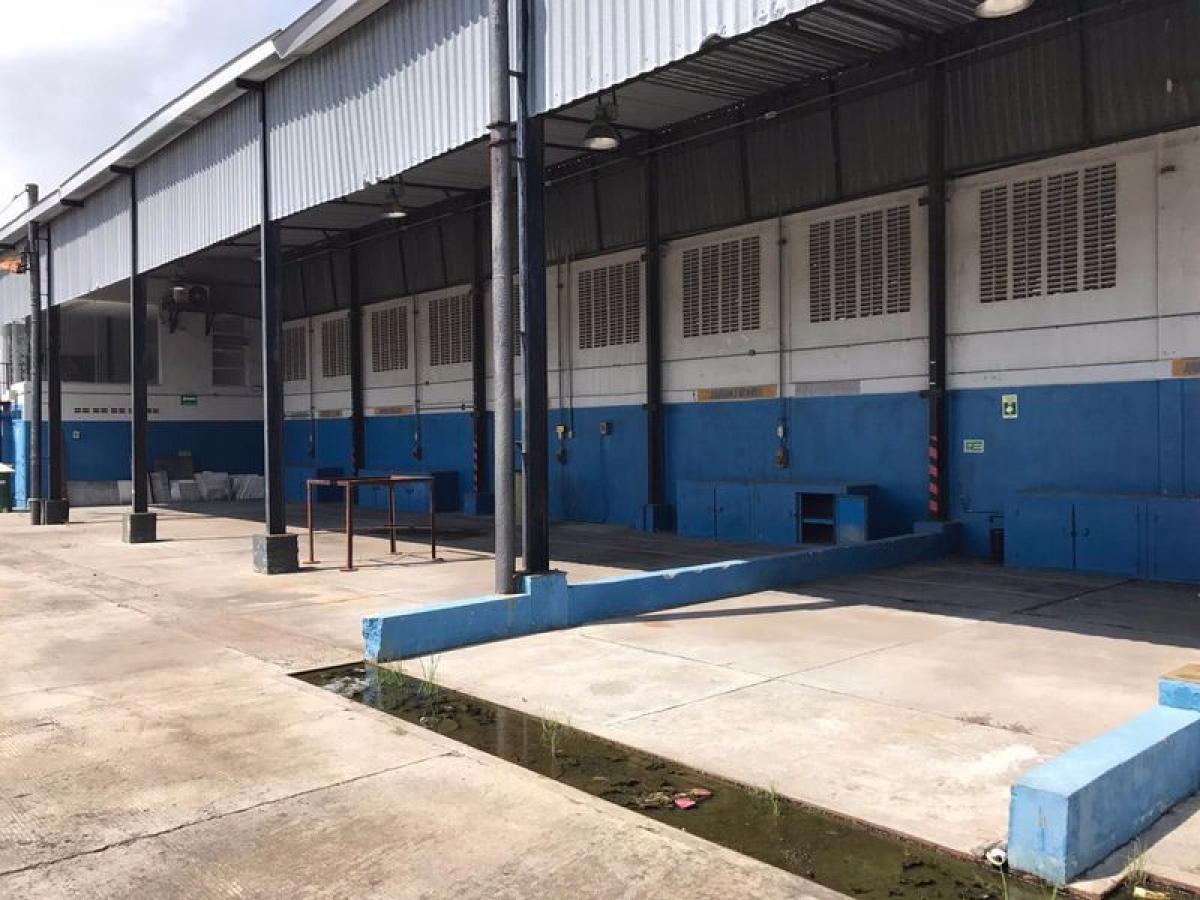 Bâtiment à Veracruz, Mexico 3100m² No. 200854