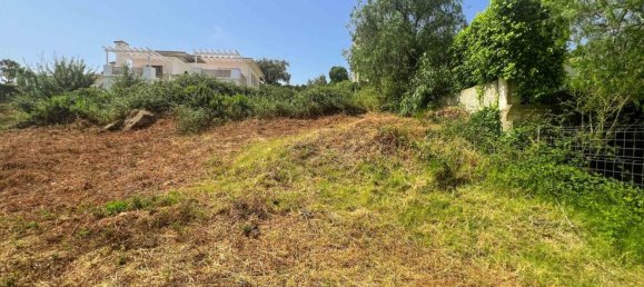  Land in Cadiz, Spain No. 145999 3