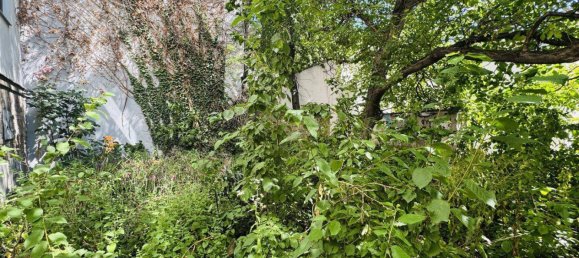 Studio in Ottakring, Austria No. 217156 10