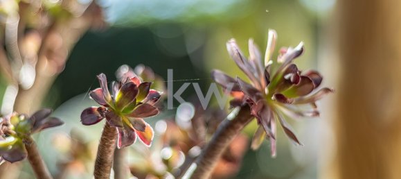 5 bedrooms House in Setubal, Portugal No. 117288 33