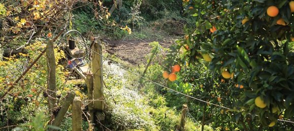 2 غرف نوم منزل في Baiao, Portugal رقم 25456 6