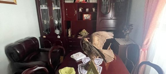 6 chambres Maison à Sariegos, Spain No. 117882 21