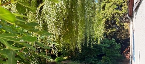 1 chambre Maison à Villefranche-sur-Cher, France No. 300798 20