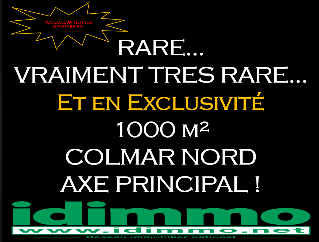 1000m² Commercial property in Colmar, France No. 89818