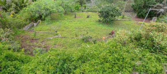 3 Schlafzimmer Haus in Teror, Spain, Nr. 153394 3