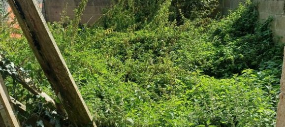 2 rooms House in Saint-Yzan-de-Soudiac, France No. 97631 15