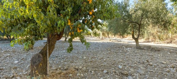 20000m² Land in Granada, Spain No. 166684 3