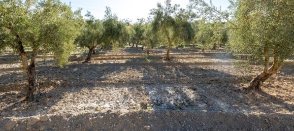 20000m² Land in Granada, Spain No. 166684 12