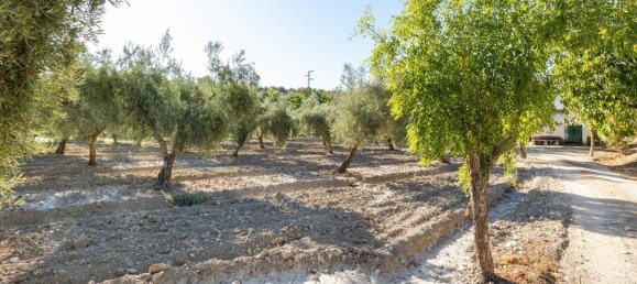 20000m² Land in Granada, Spain No. 166684 13