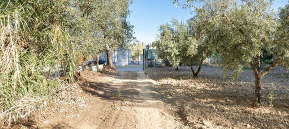 20000m² Land in Granada, Spain No. 166684 11